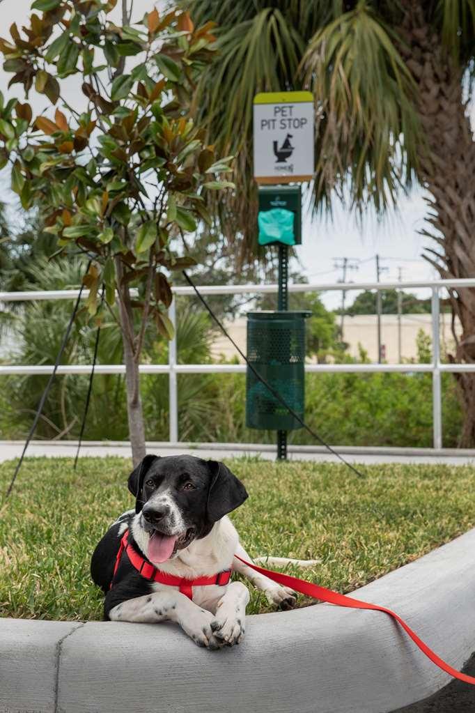 Home2 Suites By Hilton Tampa Westshore Airport Luaran gambar